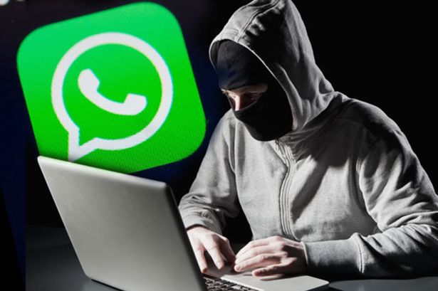 WhatsApp: como evitar vírus, spams e golpes