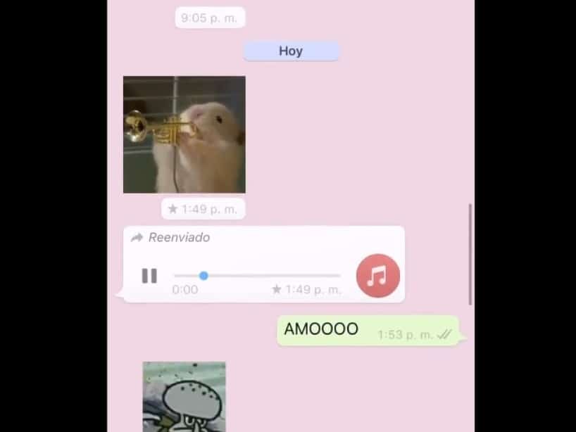 Aprenda como fazer figurinha animada para WhatsApp!