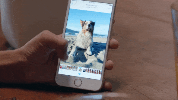 imagem 2 de Como criar as Live Photos do iPhone no Android