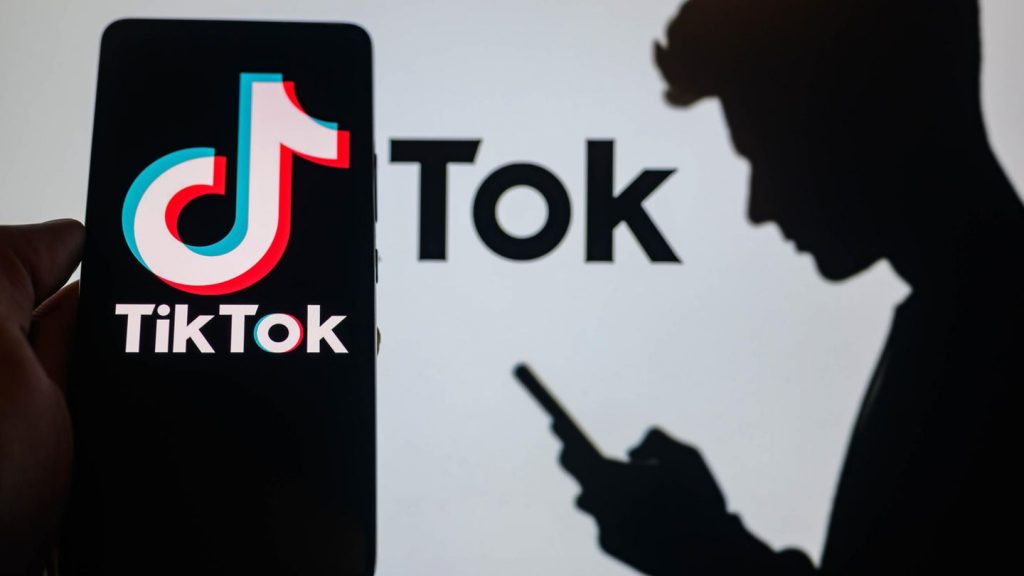 Como ver perfis do TikTok anonimamente