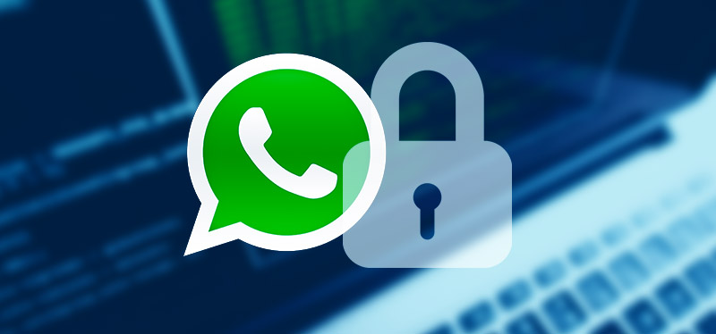 안드로이드용 WhatsApp의 보안 및 개인 정보 향상