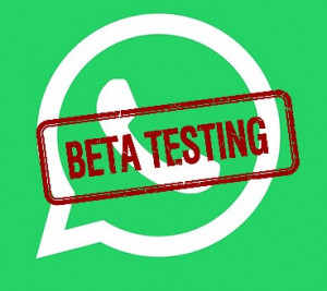 WhatsApp APK: 베타 테스터가 되거나 이전 버전 WhatsApp을 다운로드하는 방법