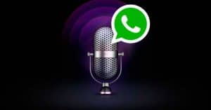 [WhatsApp 꿀팁] 음성 파일을 MP3로 변환하는 방법!
