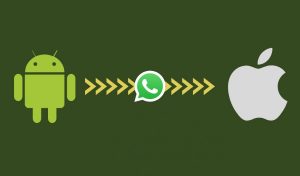 안드로이드에서 아이폰으로 왓츠앱(WhatsApp) 채팅을 옮기는 방법을 알아보자!