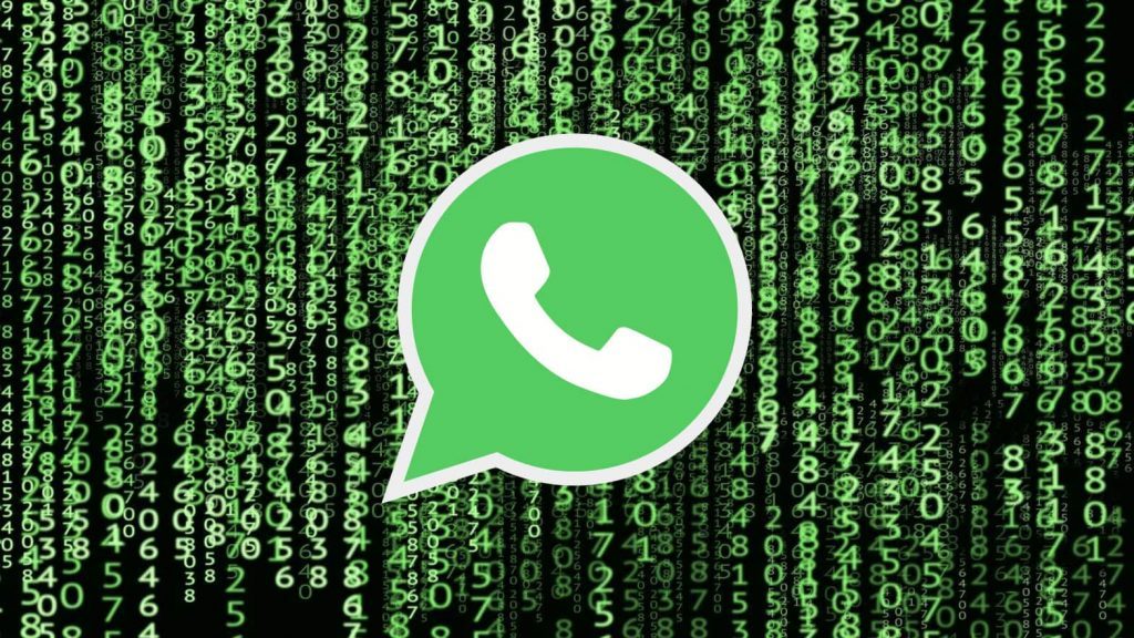 Totul despre WhatsApp: cele mai bune articole, tutoriale și update-uri