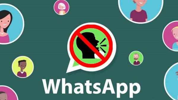 Actualizare WhatsApp: Acum poți dezactiva notificările de la un contact sau grup pentru totdeauna