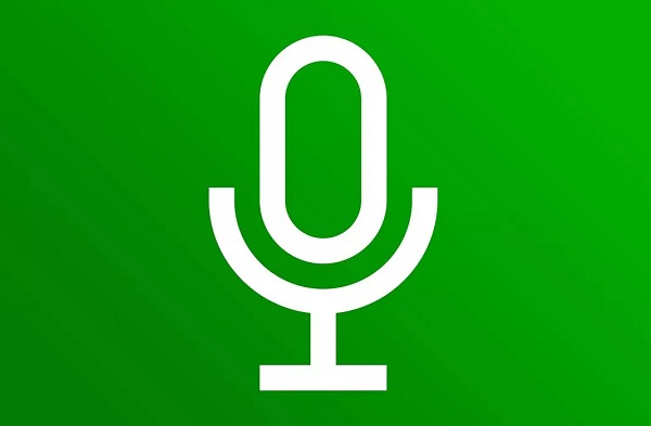 Cum salvezi fișierele audio din WhatsApp pe telefonul cu Android