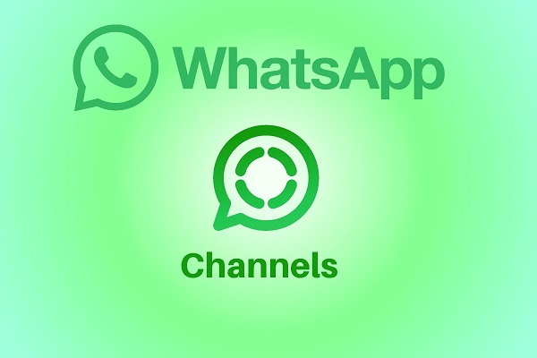 Cum găsești și urmărești canale WhatsApp