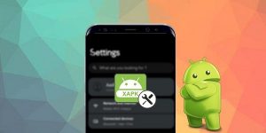 Ce este fișierul XAPK și cum se instalează pe dispozitivul Android