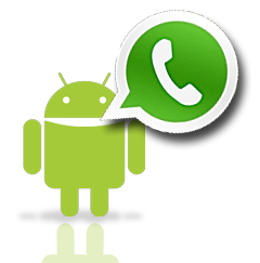 Cách khắc phục những lỗi thường gặp trên WhatsApp