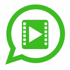 Hướng dẫn cách gọi video nhóm trên WhatsApp cho Android