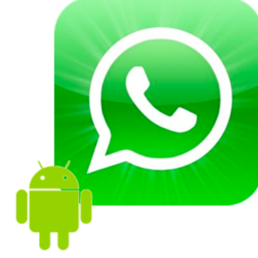 Hướng dẫn cách trả lời tin nhắn riêng trong trò chuyện nhóm WhatsApp