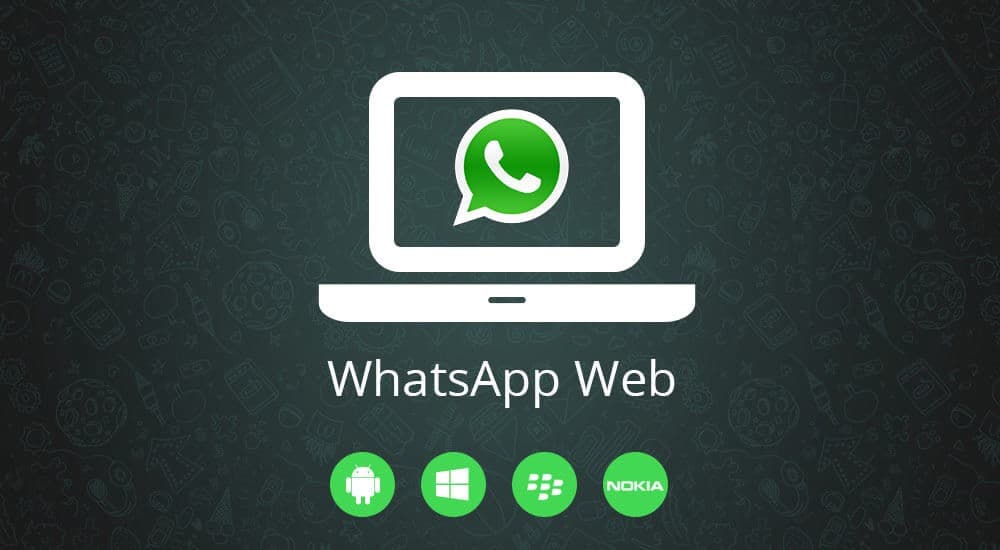 5_Hướng dẫn cách khắc phục lỗi không kết nối trên WhatsApp Web