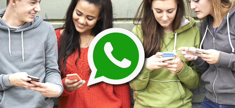 Cách tắt tính năng tự động tải hình ảnh về máy trên WhatsApp