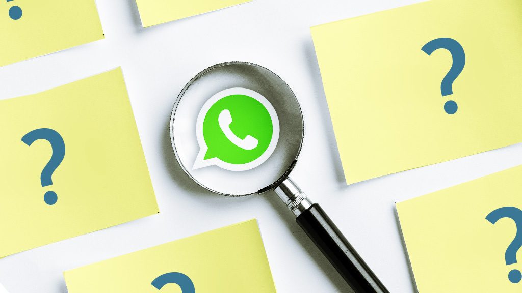 Tìm nội dung hoặc liên hệ bằng công cụ tìm kiếm trên WhatsApp