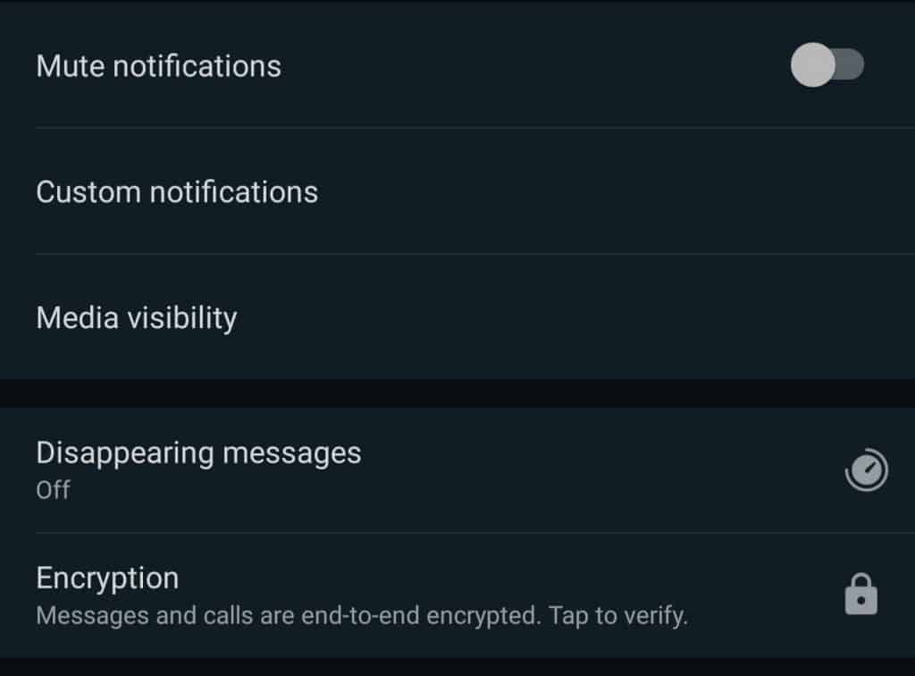 Image 2: How to Activate Disappearing Messages on WhatsApp