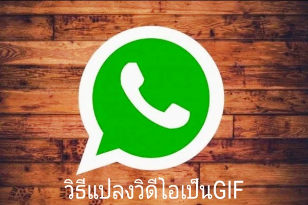 วิธีการแปลงวิดีโอให้เป็น GIF ในแอปพลิเคชั่น WhatsApp
