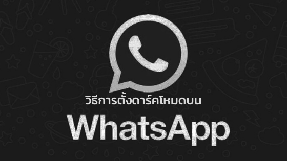 เปลี่ยนแอป WhatsApp ให้เป็นดาร์คโหมดสุดฮิตได้อย่างไร