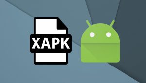 วิธีติดตั้งไฟล์ XAPK บนแอนดรอยด์แบบง่าย ๆ