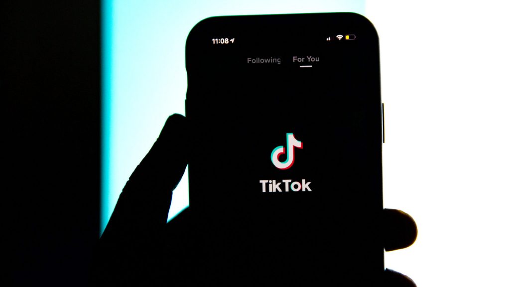 Cara Menyembunyikan Senarai Mengikut di TikTok