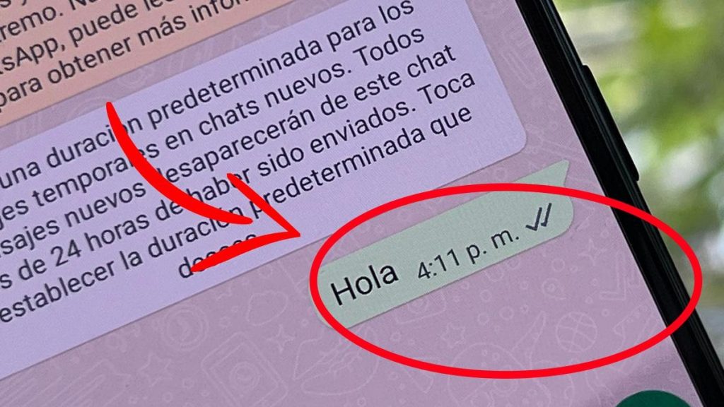 Cómo enviar mensajes anónimos en WhatsApp