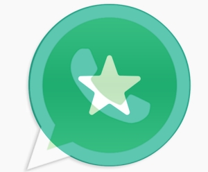 Prevent Important Messages Being Lost on WhatsApp