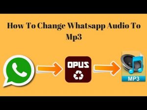How to Convert WhatsApp Audios to MP3 on Android