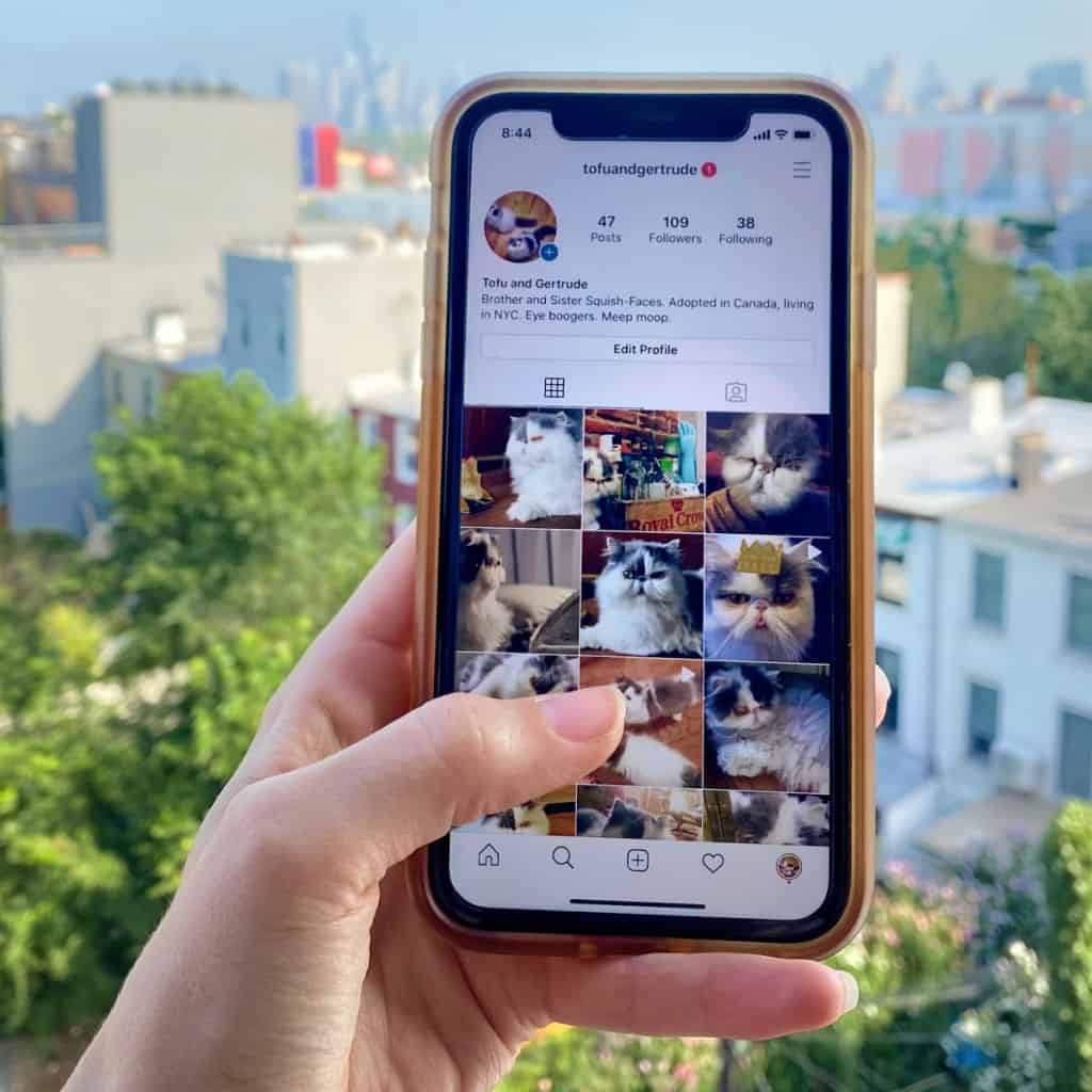 How to Download and Save All Your Instagram Photos