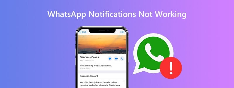 Image 2:How to Fix WhatsApp Notifications Not Working