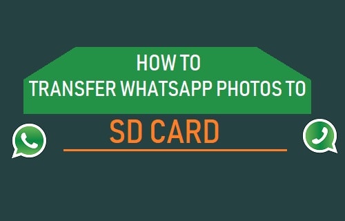 How to Save WhatsApp Photos to SD Card Automatically