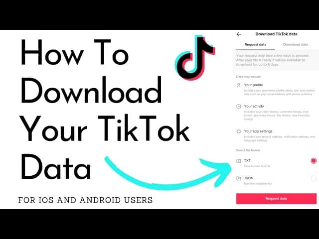 How to Download Your TikTok Data & Activity Report