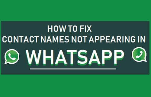 How to Fix WhatsApp Not Showing Contact Names on Android