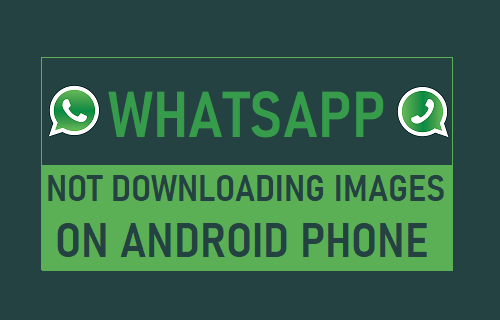 How to Fix What­sApp Not Downloading Images on Android