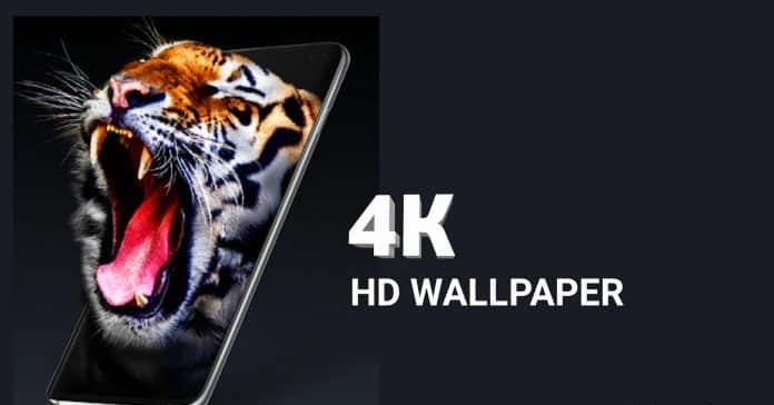 Best 4K and QHD Wallpaper Apps for Android to Make Your Phone Stand Out