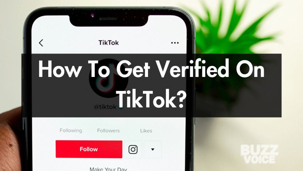 How to Get Verified on TikTok Step-By-Step
