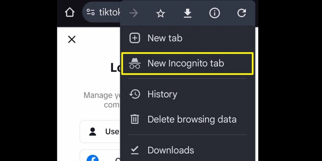 How to View TikTok Anonymously Incog