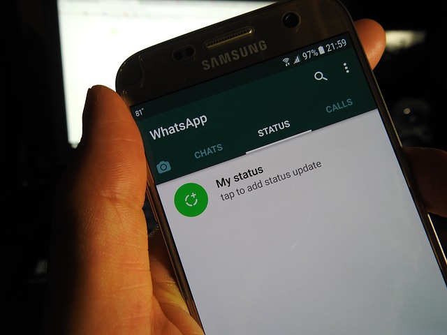 Image 9 Cara Menambahkan Musik Latar di Status WhatsApp
