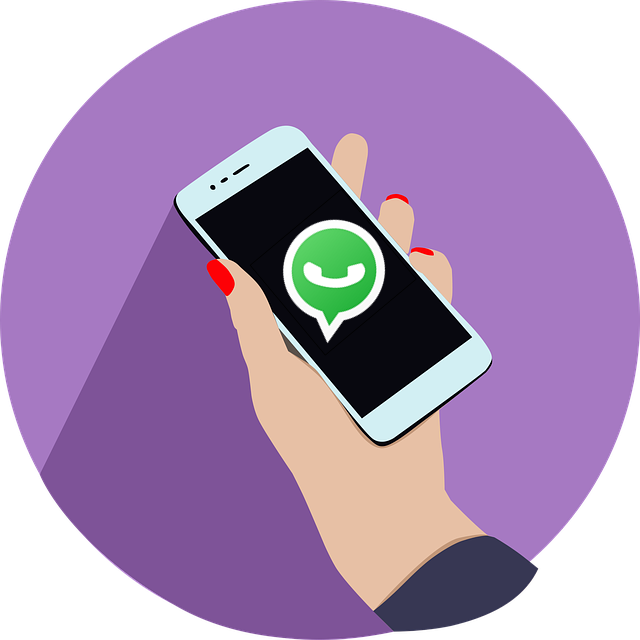 10 Tips dan Trik Status WhatsApp yang Perlu Anda Ketahui