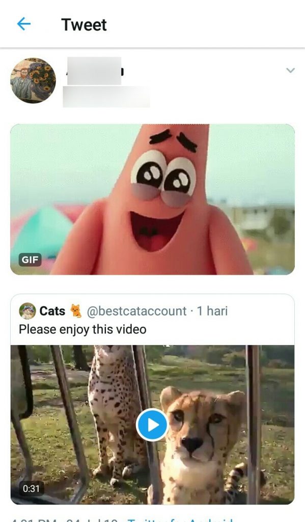 Image 9 Cara Menambahkan GIF, Foto, dan Video di Retweet Twitter