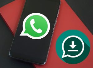 Cara Menyimpan Foto dan Video Status WhatsApp di Android