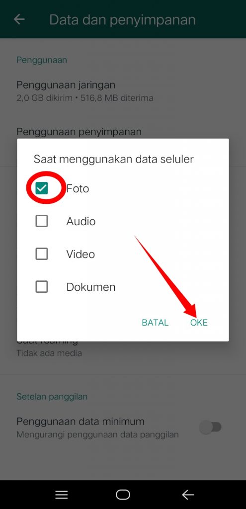 Image 4 Menghentikan Unduh Gambar Otomatis di WhatsApp