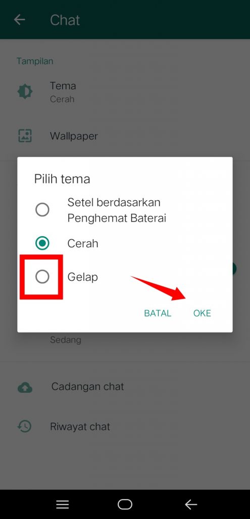 Image 6 Cara Mengaktifkan Mode Gelap di WhatsApp