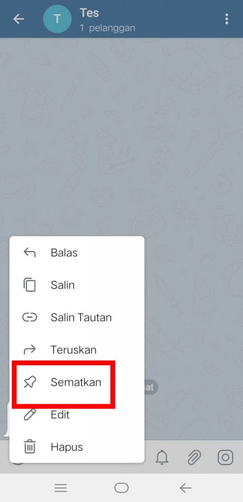 Image 6 Cara Menyematkan Pesan atau Chat di Telegram