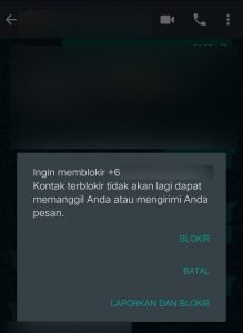 Image 2 Cara Melaporkan Seseorang sebagai Spam di WhatsApp