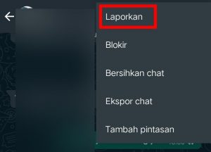 Image 5 Cara Melaporkan Seseorang sebagai Spam di WhatsApp