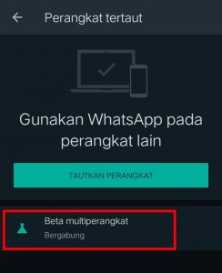 Image 6 Fitur Multi-Perangkat Baru WhatsApp: Cara Mendapatkan dan Menggunakannya