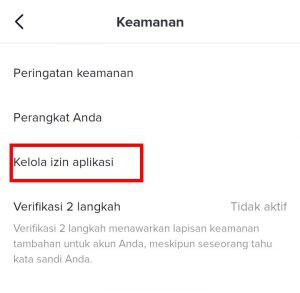 Image 7 Cara Mengetahui Apakah Akun TikTok Anda Diretas dan Cara Mengatasinya