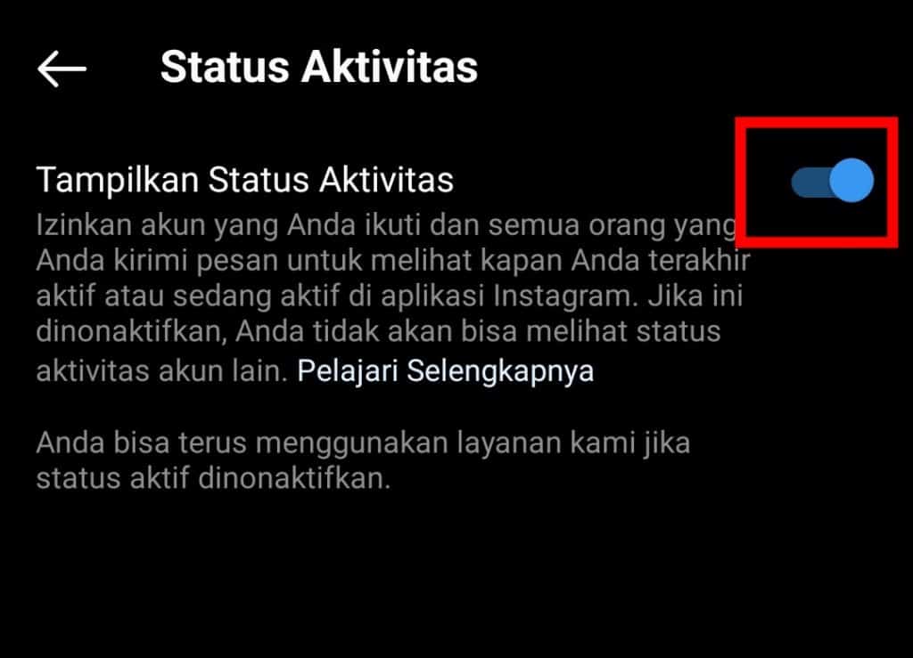 Image 7 Cara Menyembunyikan Terakhir Dilihat dan Status Online di Instagram