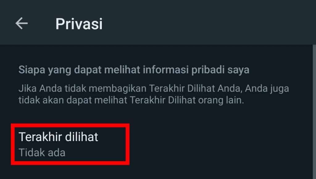 Image 6 Cara Menggunakan WhatsApp dalam Mode Rahasia