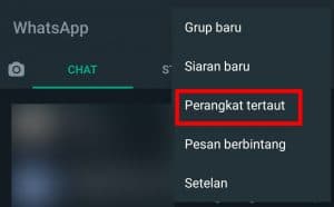 Image 3 Cara Mengetahui Apakah WhatsApp Anda Diawasi Seseorang